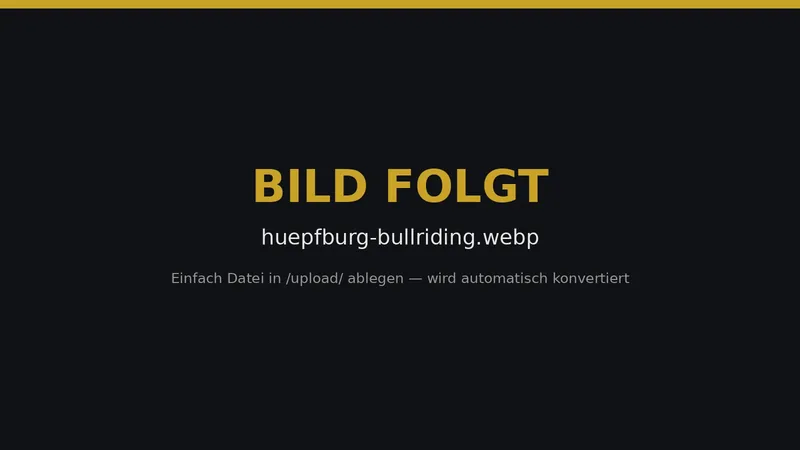 Kombination aus Hüpfburg und Bull-Riding-Attraktion für Kindergeburtstage, Stadtfeste und Sommerfeste in Norddeutschland. Mieten bei DJ Hanseatic / Le Flux Events.